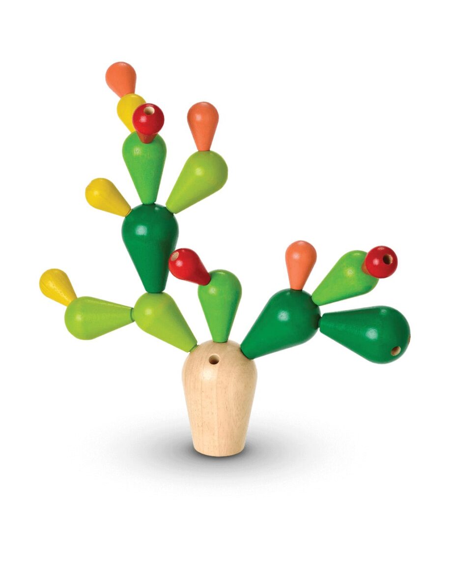 Cactus in Echilibru